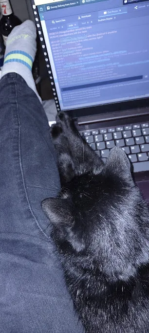 Introducing the Catputer: The Purrfect Tech Companion